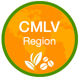 CMLS Region